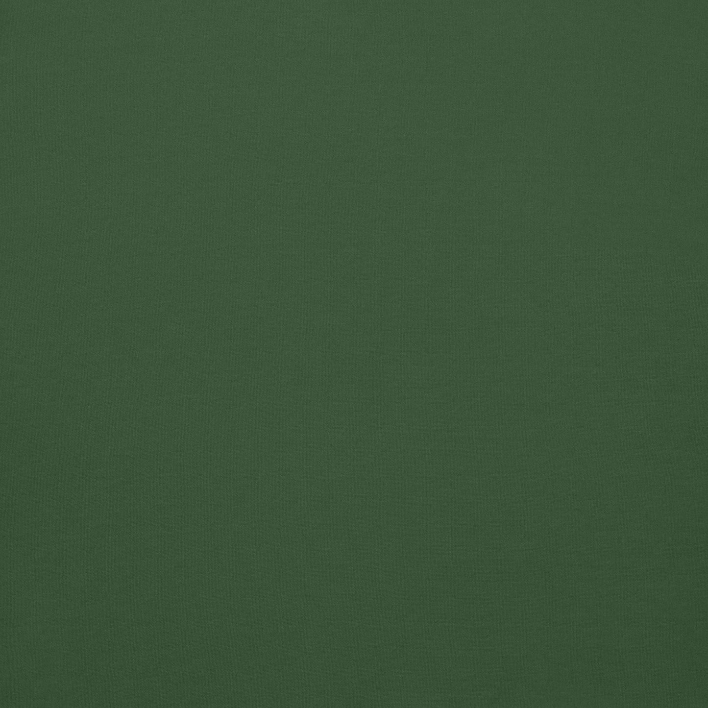 Green hoodie color view