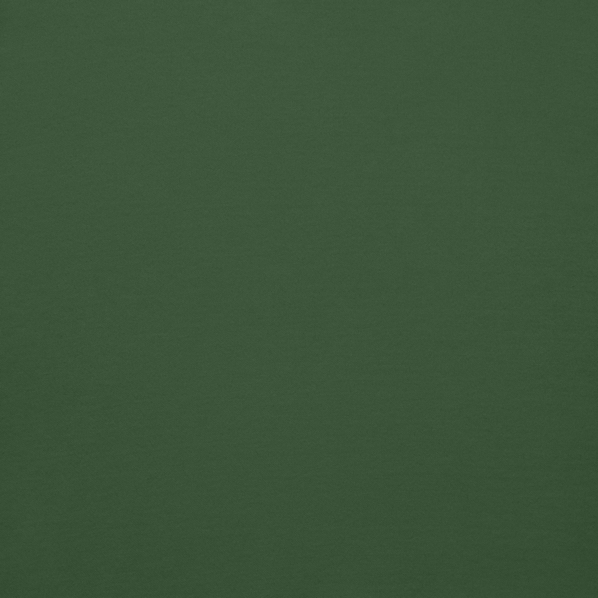 Green hoodie color view